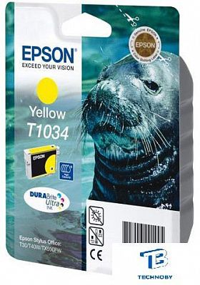 Картридж Epson C13T10344A10