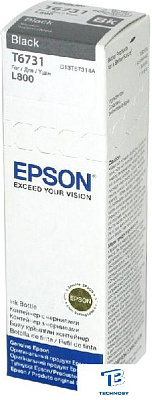 Картридж Epson C13T67314A T6731 ченый