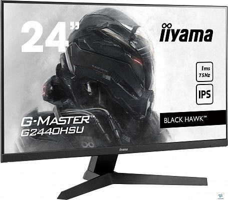 Монитор Iiyama G2440HSU-B1
