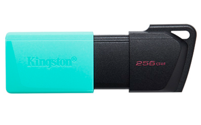 Флэш накопитель Kingston DTXM/256GB