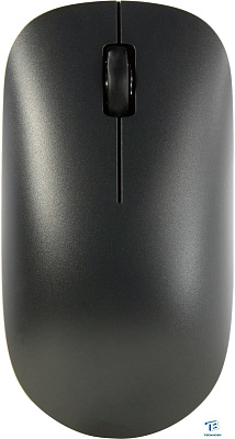 Мышь Xiaomi BHR6099GL