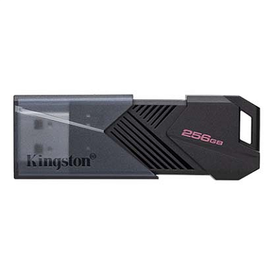 Флэш накопитель Kingston DTXON/256GB
