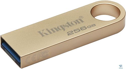 Флэш накопитель Kingston DTSE9G3/256GB