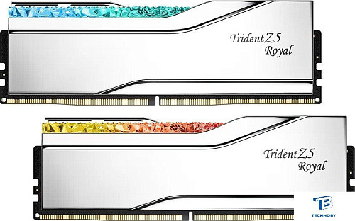 ОЗУ G.Skill F5-6400J3239G32GX2-TR5S