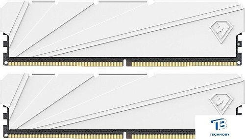 ОЗУ Netac NTSSD4P32DP-16W