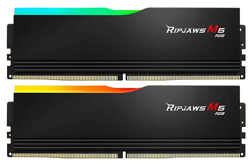 ОЗУ G.Skill F5-6000J3036F48GX2-RM5RK