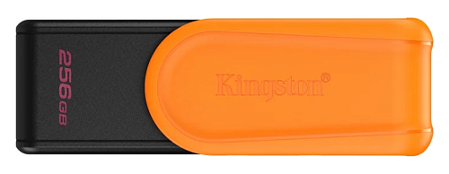 Флэш накопитель Kingston DTXS/256GB