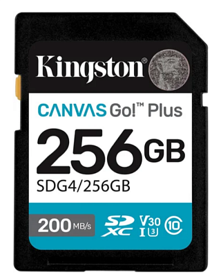 Карта памяти Kingston SDG4/256GB